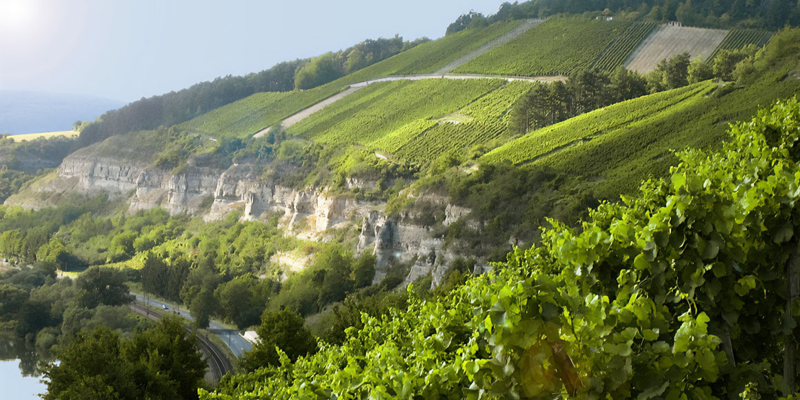 Hoch3 Online-Weintasting