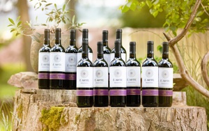 163031_wein-set-_19_von_24