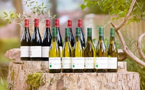 509198_wein-set-_24_von_24