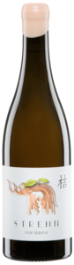 Mandarina BIO 2024 Pia Strehn