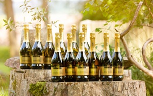 777733_wein-set-_1_von_1