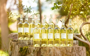 909116_wein-set-_13_von_24