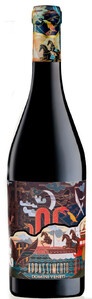 Appassimento Domini Veneti Rosso Veneto 2020 IGT 0