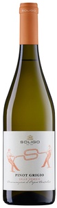 Soligo Pinot Grigio DOC delle Venezie 2019