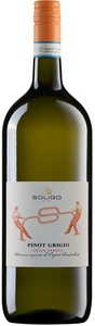 Pinot Grigio DOC delle Venezie 2019 1.0L.