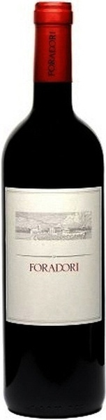 579669_foradori