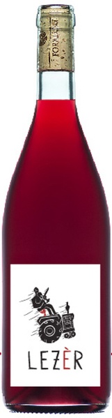 851111_scheda-lezer-2021-05