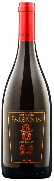 Pinot Noir Gran Reserva 2017 Falernia Chile